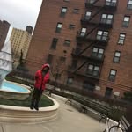 Rodgibson - @knvg.rod - Instagram