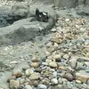olivarodglover13574838 - @olivarodglover13574838 - TikTok