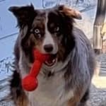 Rod Glover - @r.glover53 - Instagram