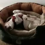 Rod Hammer - @rod.hammer.5 - Instagram