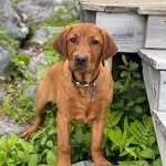 Rod Hampton - @mntcabot - Instagram