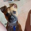 Rod Hunt - @rod.hunt - TikTok