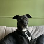 Rodney - @rodney.mc.kinney - Instagram