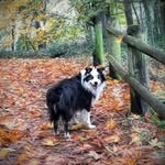 Rod Kramer - @singltrackrod - Instagram