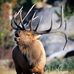 Rodney Kramer - Facebook