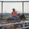 Lane Elrod - @lane_elrod - TikTok