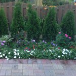 AL-Rod Pave Masters - @alrod_pavers - Instagram