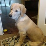 Rod Masters - @rmastersjr - Instagram