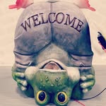 Rod Maxwell - @zoopatrolll - Instagram