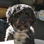 Rod - @rod_mclellan - Instagram