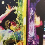 Rodney Mullen - @rodneymullen - Instagram