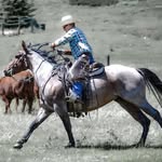 Rod Nelson - @n5ranch - Instagram