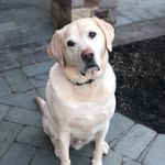 Rod Parsons - @rwparsons05 - Instagram