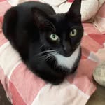 Rod Pearson - @roderick.pearson.5 - Instagram
