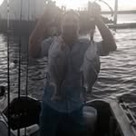 Rod Phillips - @rodphillips737 - Instagram