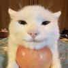 Poeze - @poezeprod - TikTok