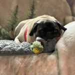 Rod Reed - @rodreed65 - Instagram