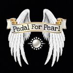 Rod Reed - @pedalforpearl - Instagram