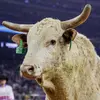 Rody Robinson - @rody.robinson1 - TikTok