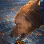 Rod stanley - @rojamam325 - Instagram