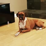 Rod Swift - @swift_712 - Instagram