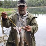 Rod Ward - @maninthewoods68 - Instagram