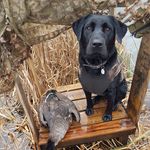 Rod Ward - @rod.ward.589 - Instagram