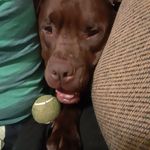 Rod ward - @rodward0616 - Instagram