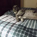 David Welch - @rodwelch0626 - Instagram