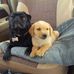 Rod Welch - Facebook