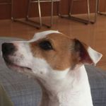 Rod Welch - @1hungrychef - Instagram