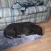 Rod Welch - Facebook