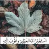 Roda A Ismail - @rodaaismail - TikTok