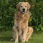 Rodney Jones - @vafarmervt - Instagram