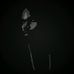Roderick Fields - Facebook