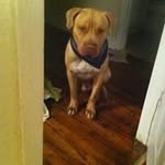 TREZ..NUK.6 - @roderickgolden - Instagram