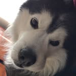 Roderick Gray Jellinsky - @roderickgray09 - Instagram