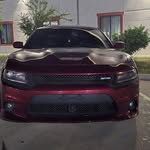 Roderick Gray Jr. - @rod_gray95 - Instagram
