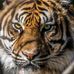 Roderick Gaton - Facebook