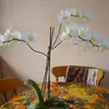 heatherroderick58 - @heatherroderick58 - TikTok