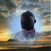 Roderick Malcolm - Facebook