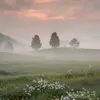 Marques Mccullough - @roderick_mcgee628439 - TikTok