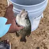 Roderick Morris - @roderick.morris1 - TikTok