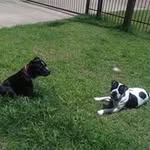 Roderick Morrison - @roderick_morrison - Instagram