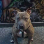 Roderick Powell - @mr.slowboogie - Instagram