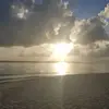 Rodger Williamson789 - @rodgerwilliamson - TikTok