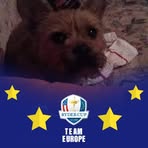 Rodger Williamson - Facebook