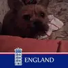 rodgerwilliamson7 - @rodgerwilliamson7 - TikTok