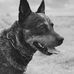 Rodney Ash - Facebook