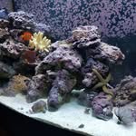 Rod Bartlett - @rodney.bartlett.31 - Instagram